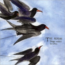 Things Couldn’t Be Better