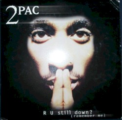 R U Still Down? (Remember Me)