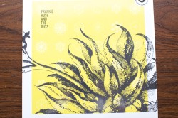 Frankie Rose and the Outs