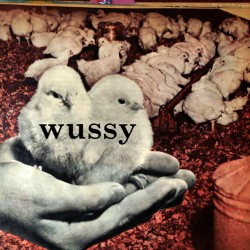 Wussy