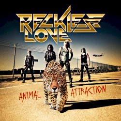 Animal Attraction