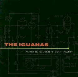 Plastic Silver 9 Volt Heart