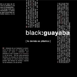 Lo demás es plástico