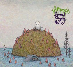 Several Shades of Why