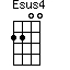 Esus4