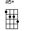 A5+