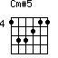 Cm#5