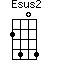 Esus2