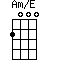 Am/E